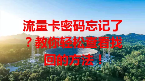 流量卡密码忘记了？教你轻松查看找回的方法！