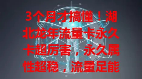 3个月才搞懂！湖北龙年流量卡永久卡超厉害，永久属性超稳，流量足能满足多样需求，网络稳套餐简，是优质流量解决方案