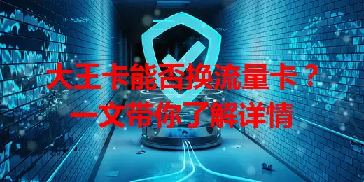 大王卡能否换流量卡？一文带你了解详情