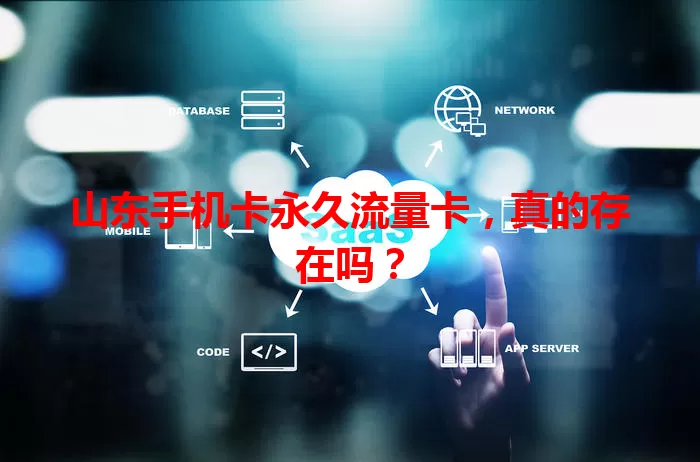 山东手机卡永久流量卡，真的存在吗？