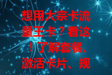 想用大宗卡流量王卡？看这！了解套餐、激活卡片、规划流量、掌握通话短信及费用情况全攻略
