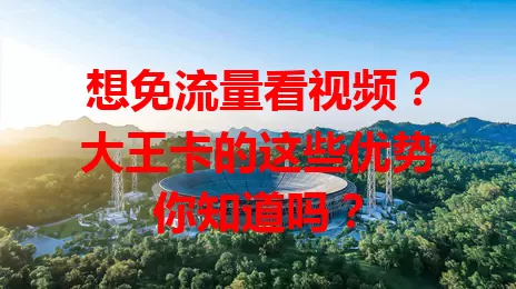想免流量看视频？大王卡的这些优势你知道吗？