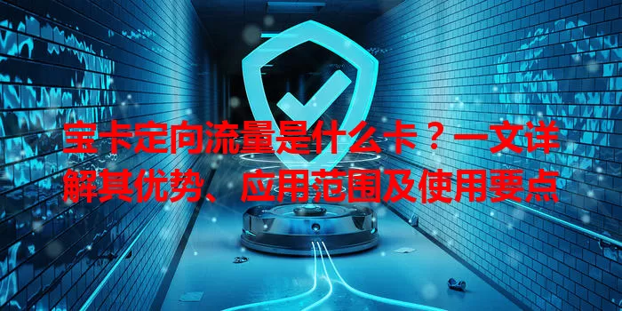 宝卡定向流量是什么卡？一文详解其优势、应用范围及使用要点