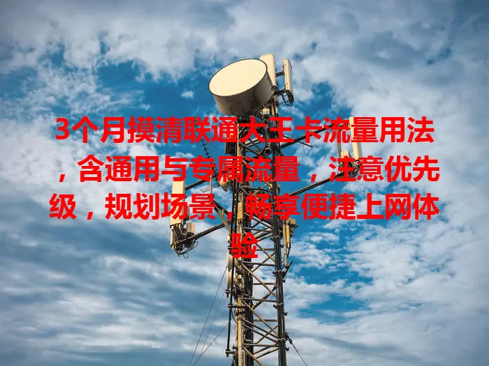 3个月摸清联通大王卡流量用法，含通用与专属流量，注意优先级，规划场景，畅享便捷上网体验