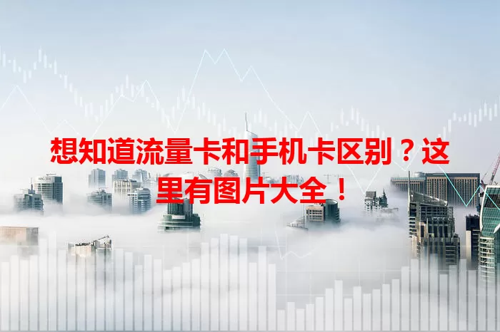 想知道流量卡和手机卡区别？这里有图片大全！