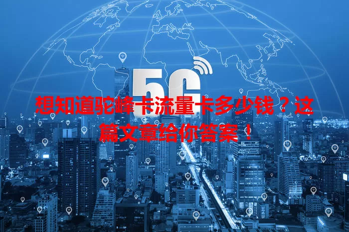 想知道驼峰卡流量卡多少钱？这篇文章给你答案！