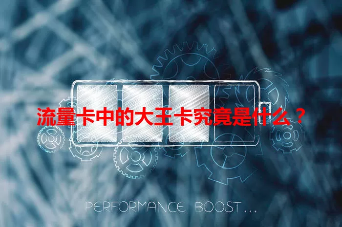 流量卡中的大王卡究竟是什么？