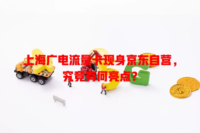 上海广电流量卡现身京东自营，究竟有何亮点？