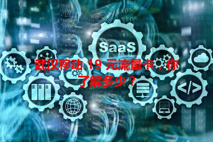 武汉移动 19 元流量卡，你了解多少？