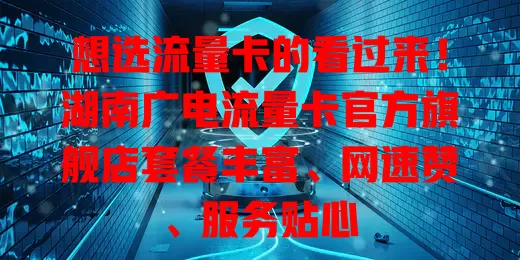 想选流量卡的看过来！湖南广电流量卡官方旗舰店套餐丰富、网速赞、服务贴心