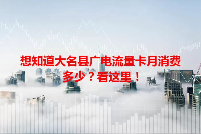想知道大名县广电流量卡月消费多少？看这里！