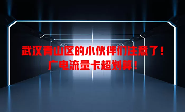 武汉青山区的小伙伴们注意了！广电流量卡超划算！