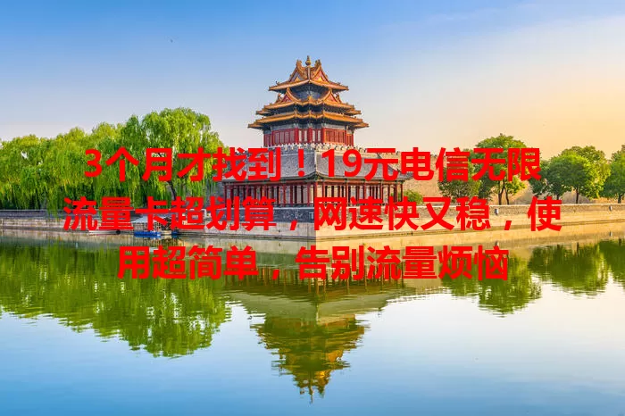 3个月才找到！19元电信无限流量卡超划算，网速快又稳，使用超简单，告别流量烦恼
