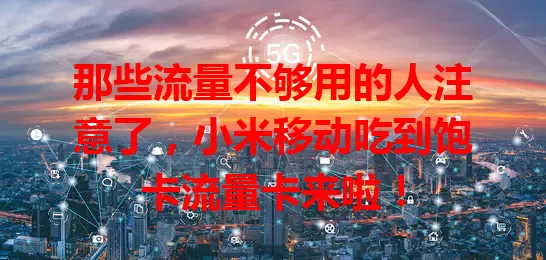 那些流量不够用的人注意了，小米移动吃到饱卡流量卡来啦！