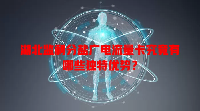 湖北监利分盐广电流量卡究竟有哪些独特优势？