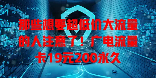 那些想要超低价大流量的人注意了！广电流量卡19元200永久