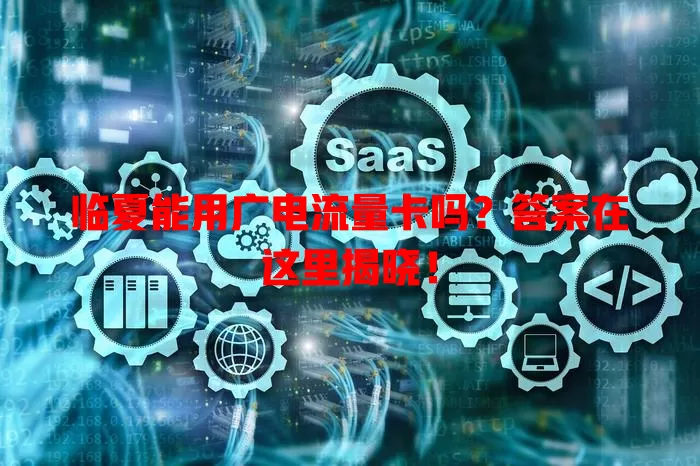 临夏能用广电流量卡吗？答案在这里揭晓！