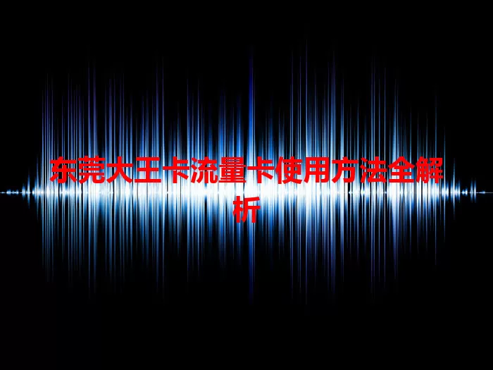 东莞大王卡流量卡使用方法全解析