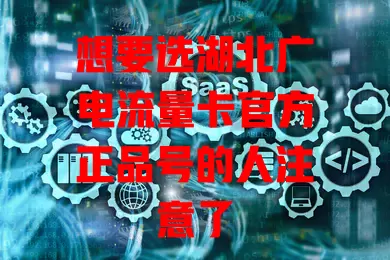 想要选湖北广电流量卡官方正品号的人注意了