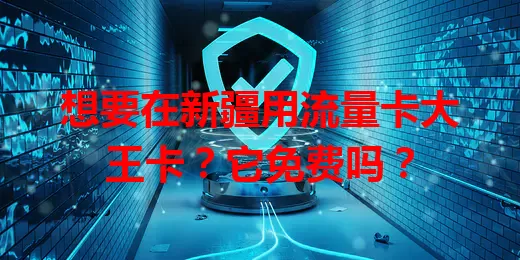 想要在新疆用流量卡大王卡？它免费吗？