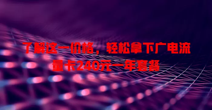 了解这一价格，轻松拿下广电流量卡240元一年套餐