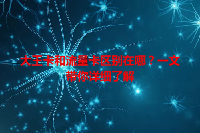 大王卡和流量卡区别在哪？一文带你详细了解