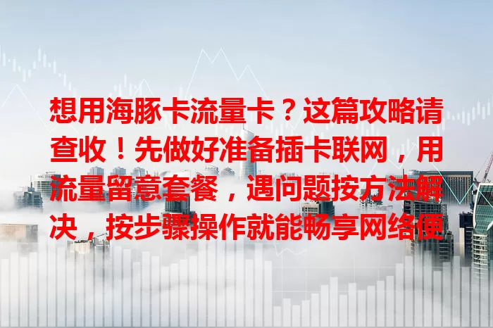 想用海豚卡流量卡？这篇攻略请查收！先做好准备插卡联网，用流量留意套餐，遇问题按方法解决，按步骤操作就能畅享网络便利