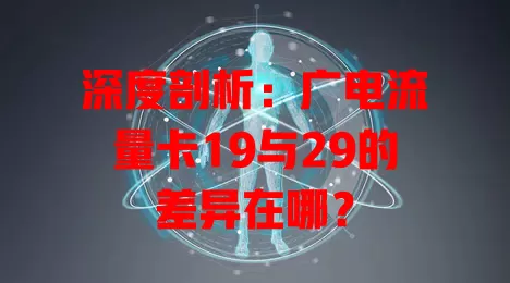 深度剖析：广电流量卡19与29的差异在哪？