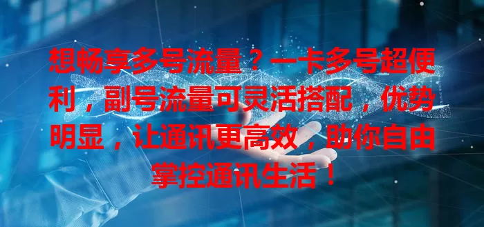 想畅享多号流量？一卡多号超便利，副号流量可灵活搭配，优势明显，让通讯更高效，助你自由掌控通讯生活！