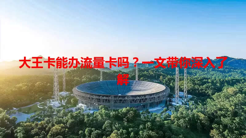 大王卡能办流量卡吗？一文带你深入了解