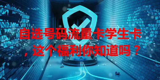 自选号码流量卡学生卡，这个福利你知道吗？