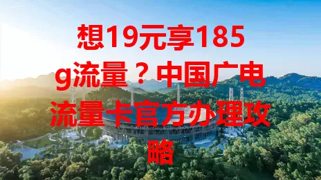 想19元享185g流量？中国广电流量卡官方办理攻略