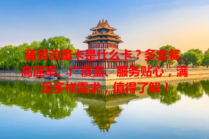 骚男流量卡是什么卡？多套餐、高速率、广覆盖、服务贴心，满足多样需求，值得了解！