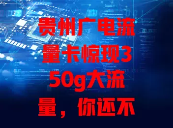 贵州广电流量卡惊现350g大流量，你还不冲？
