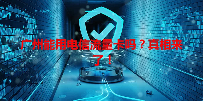 广州能用电信流量卡吗？真相来了！