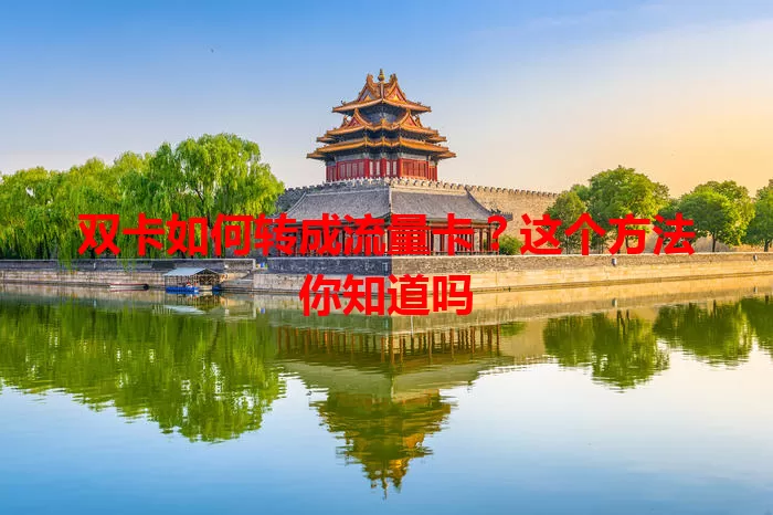 双卡如何转成流量卡？这个方法你知道吗