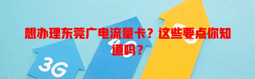 想办理东莞广电流量卡？这些要点你知道吗？