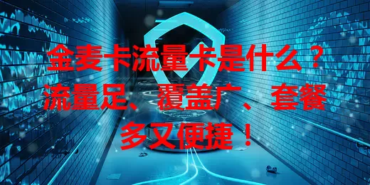 金麦卡流量卡是什么？流量足、覆盖广、套餐多又便捷！