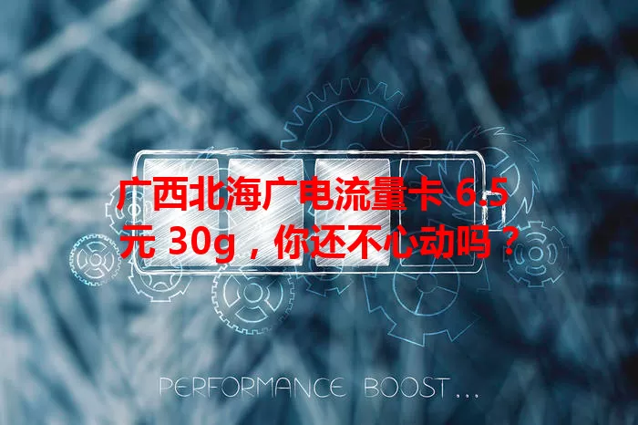 广西北海广电流量卡 6.5 元 30g，你还不心动吗？