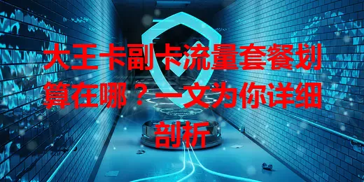 大王卡副卡流量套餐划算在哪？一文为你详细剖析