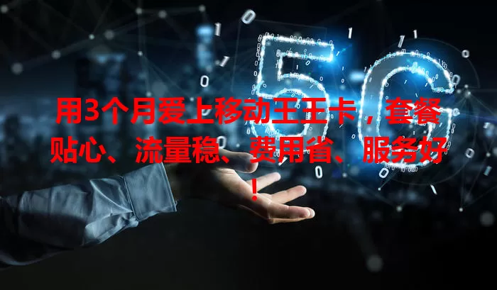 用3个月爱上移动王王卡，套餐贴心、流量稳、费用省、服务好！