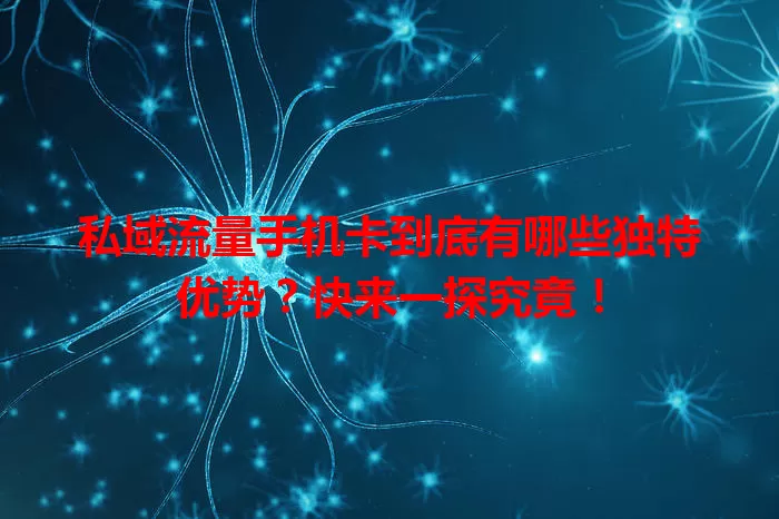 私域流量手机卡到底有哪些独特优势？快来一探究竟！