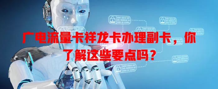广电流量卡祥龙卡办理副卡，你了解这些要点吗？