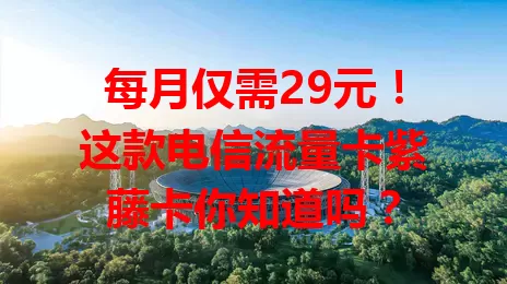 每月仅需29元！这款电信流量卡紫藤卡你知道吗？