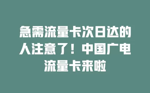 急需流量卡次日达的人注意了！中国广电流量卡来啦