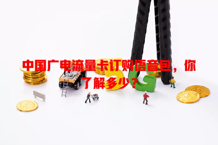 中国广电流量卡订购语音包，你了解多少？