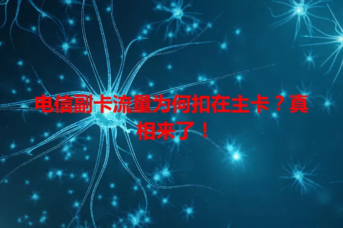 电信副卡流量为何扣在主卡？真相来了！