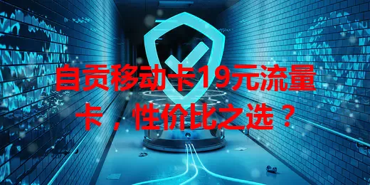 自贡移动卡19元流量卡，性价比之选？