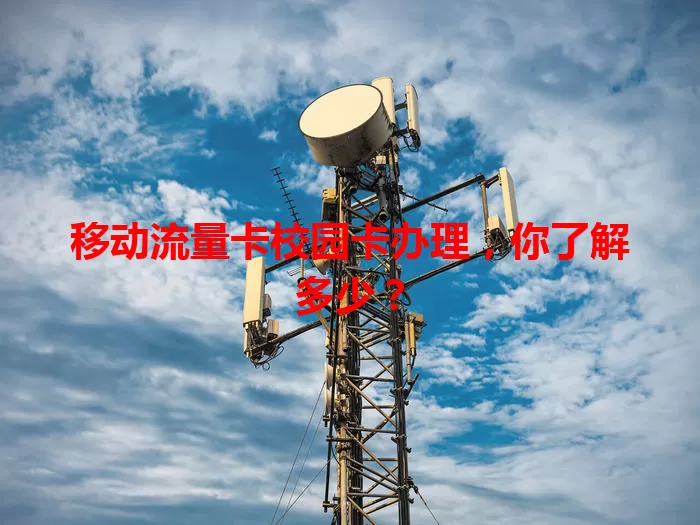 移动流量卡校园卡办理，你了解多少？