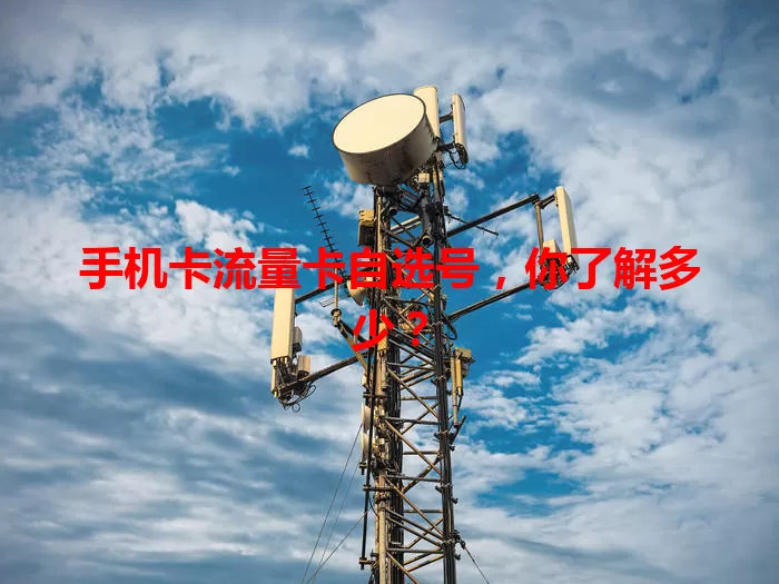手机卡流量卡自选号，你了解多少？